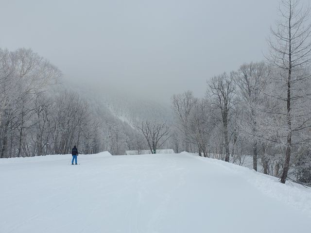 専用　川尻河野白岩 ホワイトワールド尾瀬岩鞍(尾瀬いわくらキャンプ場