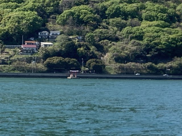 �C�ɕ����Ԓ���_���r�b�g���C���i�O���]��v�쓇�q�H�j