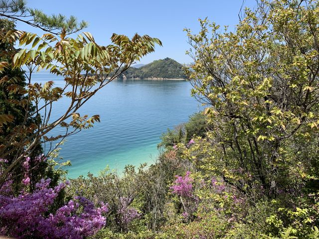 �؁X�̉A���猩����C��������_���r�b�g���C���i�O���]��v�쓇�q�H�j