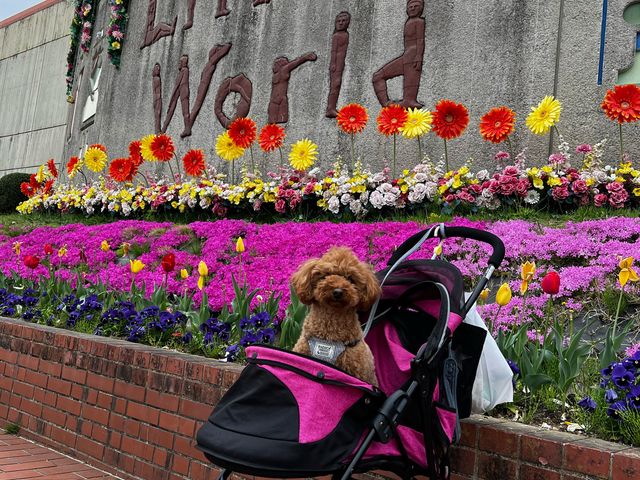 �����Q�[�g�t�߂ł��B�ō������J�őf���炵�������ł��B_��O���������ك��g�����[���h