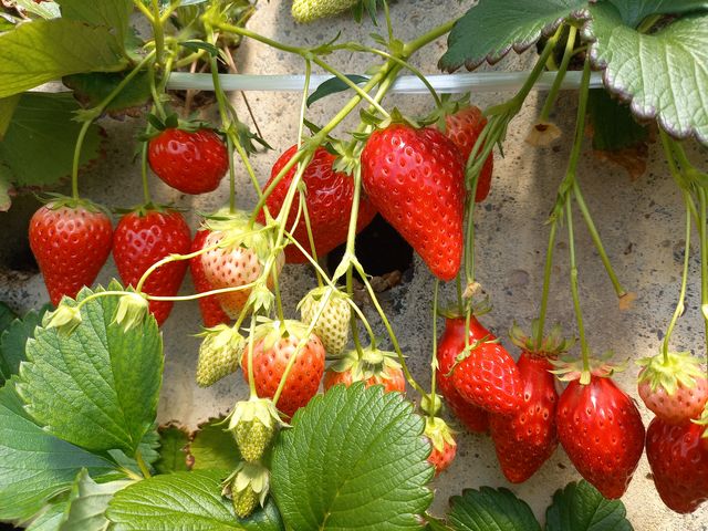 ���������̃X�^�b�t�̊F���܂̈�������Ղ�Ƌl�܂������������������ł����B���N�����ז��������܂��B_���ǉ�