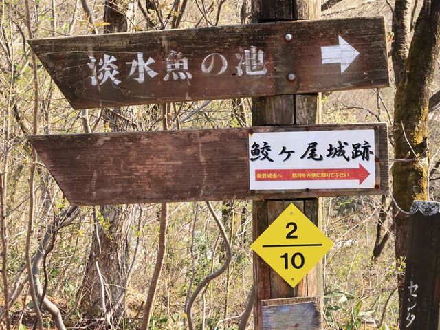 Ƃ񂳂̎LPՁi㑾j̗j̓eʐ^1