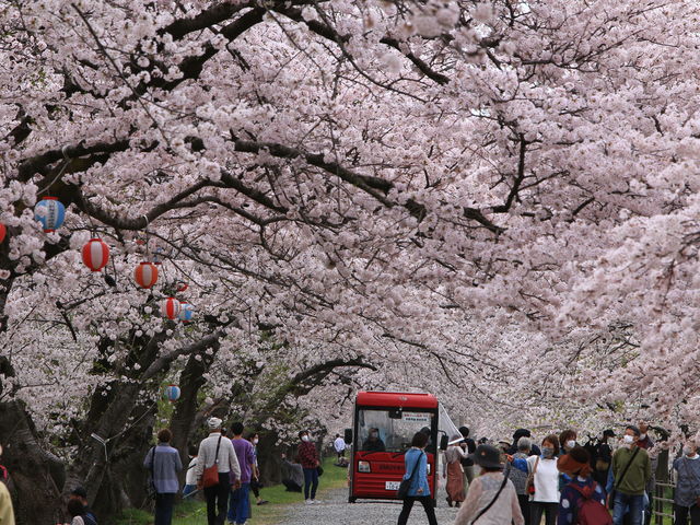 �����̓d�C�o�X�����~�莩�R�ł��B_�����ЏM��u�t�̎l�d�t�v
