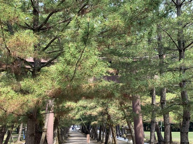 �o�_��А_��(�f�A�쉈)_�o�_��А_���i�f�A�쉈�j