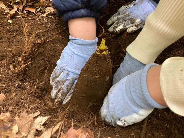 ���Ȃ�啨�ł���_�Ȃ��݉��@�X�c