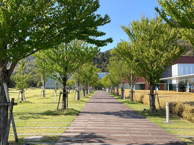 ���������Ñ�o�_���j������_���������Ñ�o�_���j������