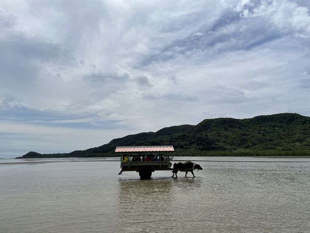 �R�z���ւ͐����Ԃ�_���h�ό�