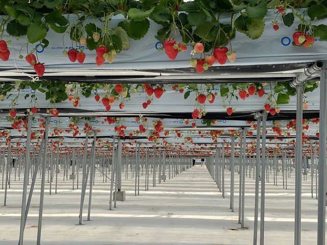 ���N��3��ڂ̂��������
���E5���[�g���ȓ���30�����ו���_�i�`��������