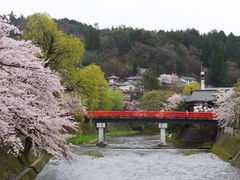 ニコちゃんさんの中橋への投稿写真1