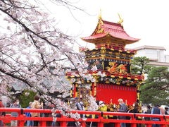 �j�R����񂳂�̒����ւ̓��e�ʐ^2