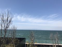 ۂ̓VR@B̓@֐`ւ̓eʐ^1