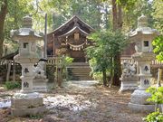 Ƃ񂳂̔㑾_Ђ̓eʐ^1