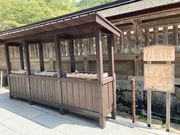 �E�b�L�[����̏o�_��А_���i�f�A�쉈�j�̓��e�ʐ^1