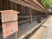 �E�b�L�[����̏o�_��А_���i�f�A�쉈�j�̓��e�ʐ^1