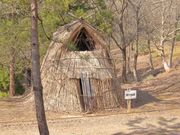 Ƃ񂳂̔㑾Ձi㑾j̗j̓eʐ^1