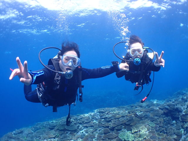 ���Ɗy���݂܂����I_�V�[�W���b�N�_�C�u�t�@�~���[