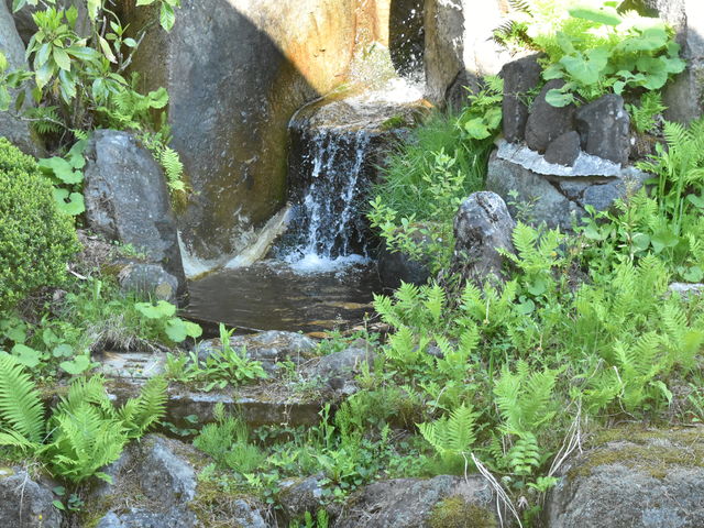 �뉀_�Ȃ��߂ٌ̊��_�t