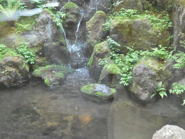 �뉀_�Ȃ��߂ٌ̊��_�t