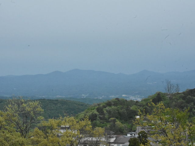 227��������̒��](�ߌ�3����)_�Ȃ��߂ٌ̊��_�t