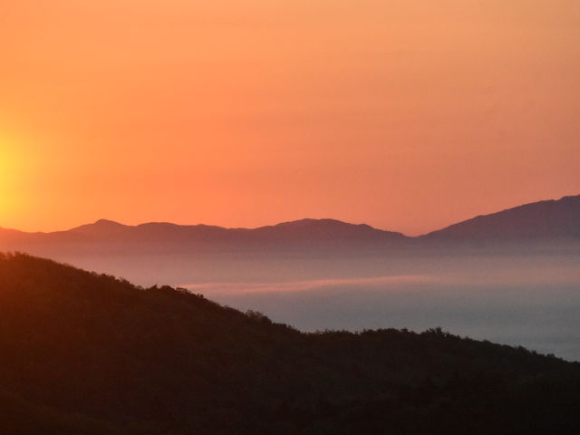 ߑO435ȀoƉ_C_Ȃ߂ٌ̊_t