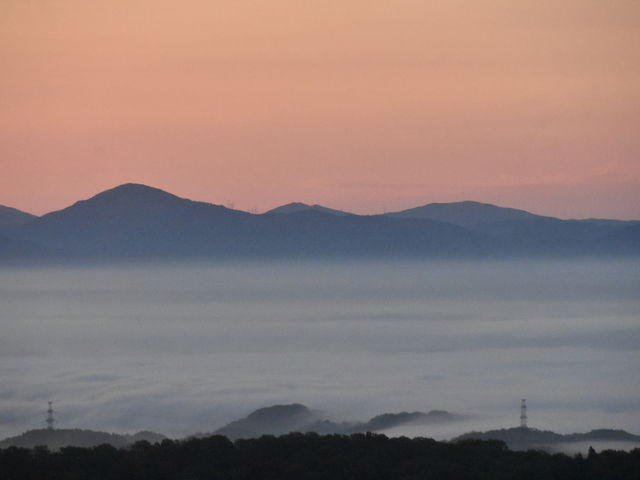 �ߑO4��35�����A�_�C_�Ȃ��߂ٌ̊��_�t