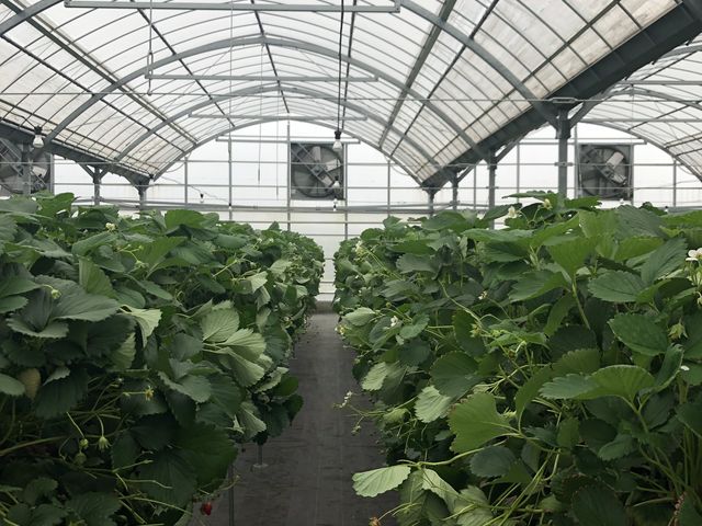 �ޏ�ł��B_�X�c��������