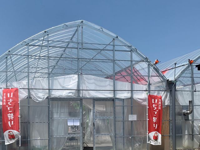 �n�E�X�����_����X�g���x���[�t�@�[��