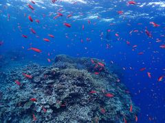 ܂񂳂̃}T[rX@pb\ւ̓eʐ^1