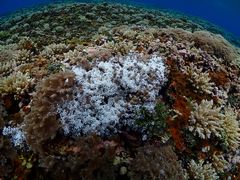 ܂񂳂̃}T[rX@pb\ւ̓eʐ^2