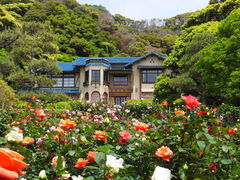 �j�R����񂳂�́y�ߘa5�N�x����ߘa8�N�x�܂ł�4�N�ԋx�فz���q���w�قւ̓��e�ʐ^1