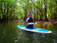 \ ADVENTURE PiPi̎ʐ^1