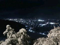 ���݂�����̑��Y�V�{�ւ̓��e�ʐ^1