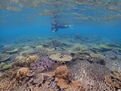 narishCOSMIC OCEANւ̓eʐ^1