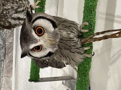 ݁[񂳂̂ρ[@tNEJtFr܂ւ̓eʐ^1