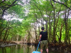 \ ADVENTURE PiPi̎ʐ^1