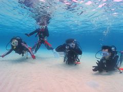 ElenãANAhbvւ̓eʐ^2