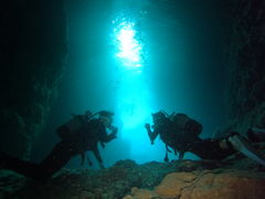 [̐̓A _CrOVbvaւ̓eʐ^1