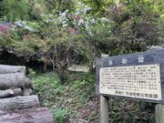 kPĂ郉C_[̖ӓ̓eʐ^2