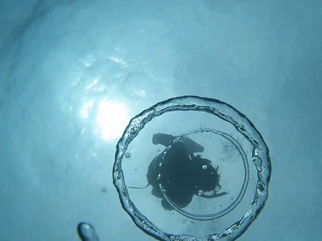 �M�d�ȑ̌��ł����c_�����哇�E�F���l�X&�A�h�x���`���[UNIMARE