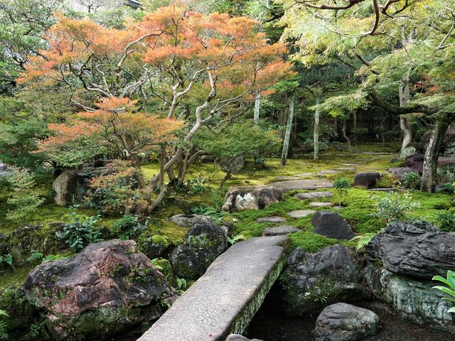 ΂ŁA뉀ėLAƂĂ܂B_j