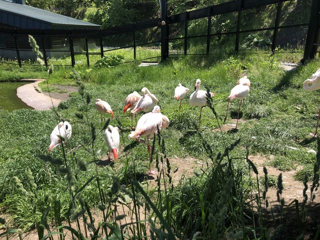 �t���~���S���o�}���Ă���܂�_���R������