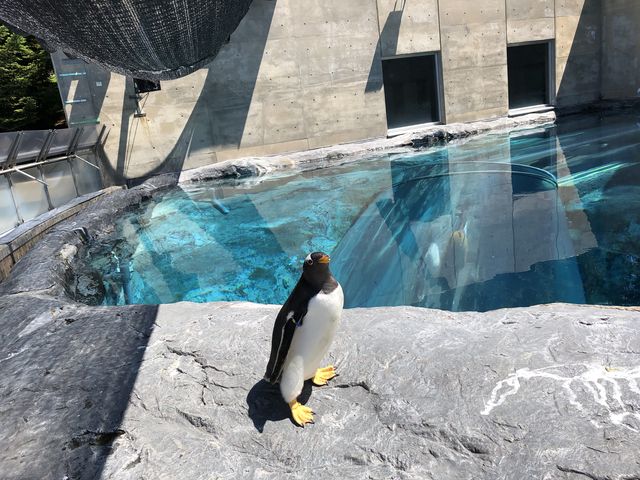 ���z���悢�y���M���N���T�[�r�X���Ă���܂���_���R������