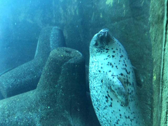 �A�U���V�قŃg���l�����A�U���V�N�����蔲���ė��܂��B_���R������