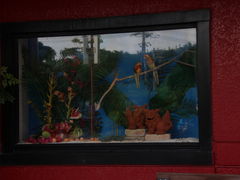 jkammy07َ̌qa@[Xւ̓eʐ^3