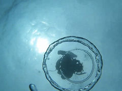 哇EFlX&Ahx`[UNIMARE̎ʐ^1