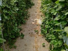 MỸC`SnEX̉ւ̓eʐ^1