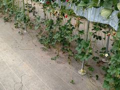 MỸC`SnEX̉ւ̓eʐ^2