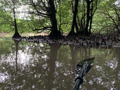 VK[OHCUSΊ_ւ̓eʐ^1