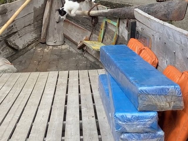�V���M����_�V����a�D����