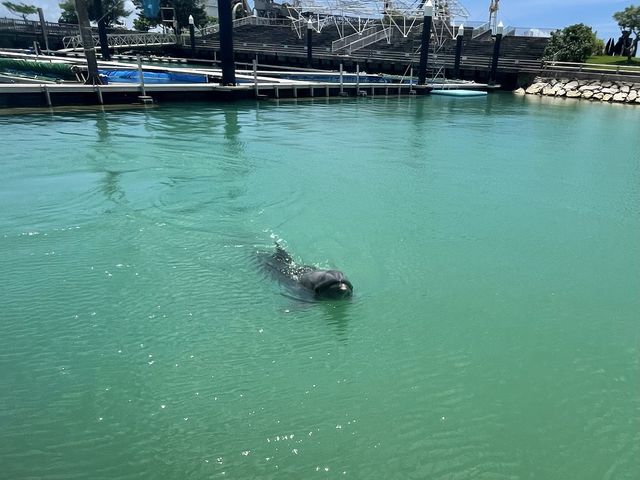 �߂���ʂ�ƁA�߂��Ɋ���ė��Ă���܂�_���ƂԌ��C��